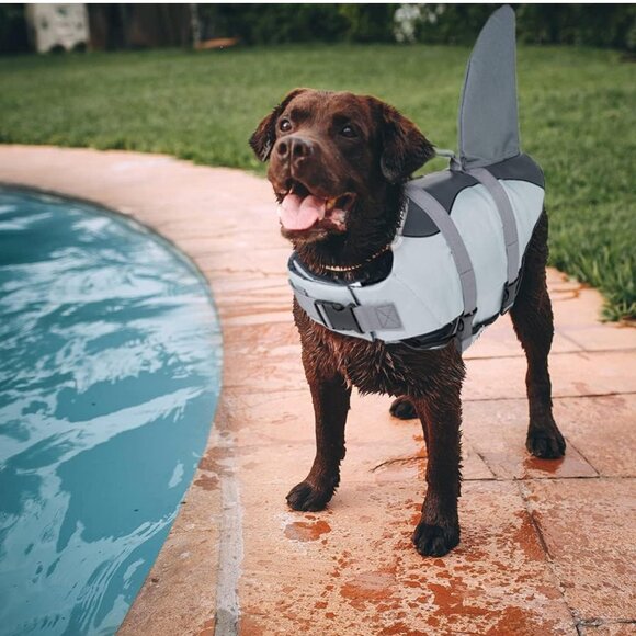 Shark Life Jackets for Dogs, Adjustable Life Vest Swimming Pool Beach Boating, L - Picture 6 of 10